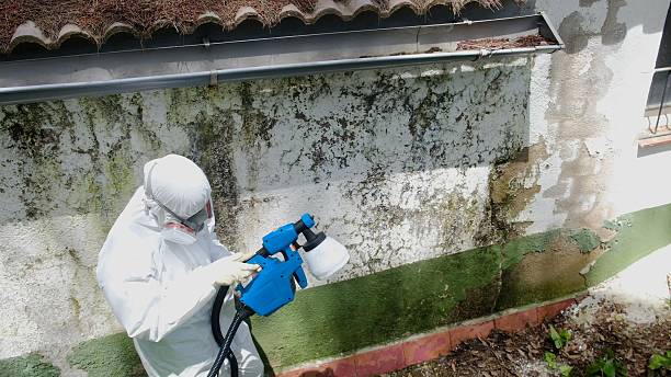 Trusted Commercial Mold Remediation service in Lavallette, NJ - Cheap Mold Removal